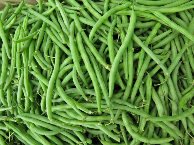 closeup of a pile of green beans