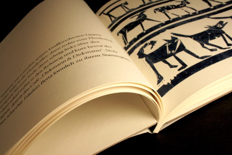 a book with black designs showing different parts of animals