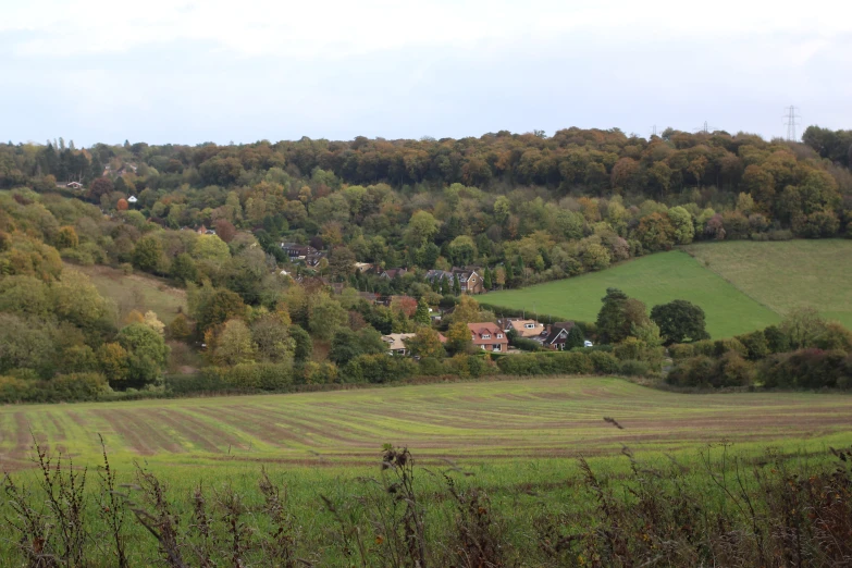 a hilly farm with trees and farmland in the background