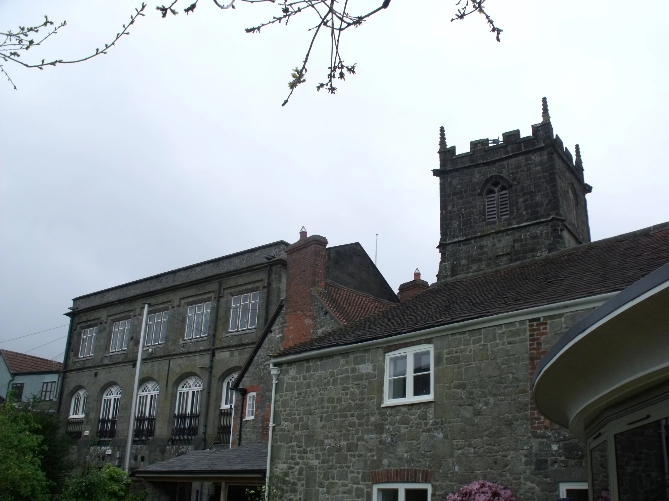 a building on a street with a tree in front