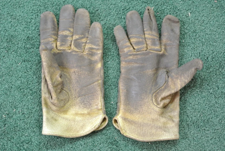 a pair of gloves laying on a green rug