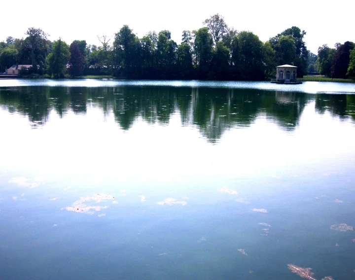 a large lake surrounded by green trees and houses