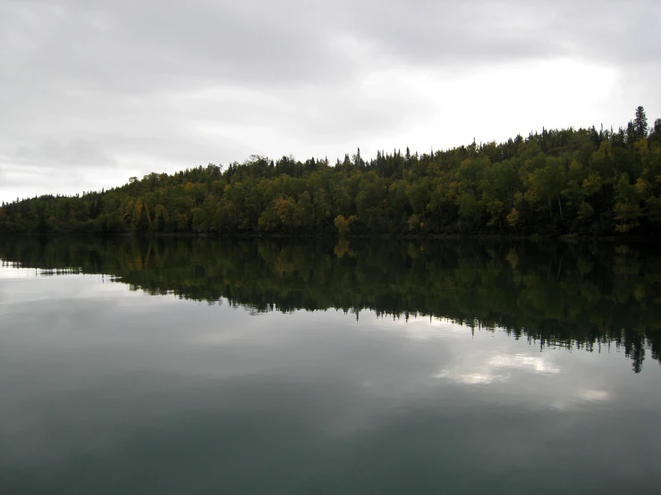 a small river surrounded by trees with cloudy sky