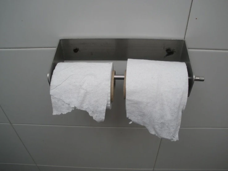 two white folded towels hang from metal toilet rails