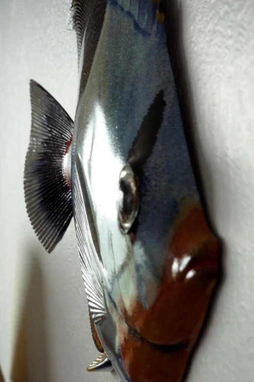 a fish hanging on the side of a wall