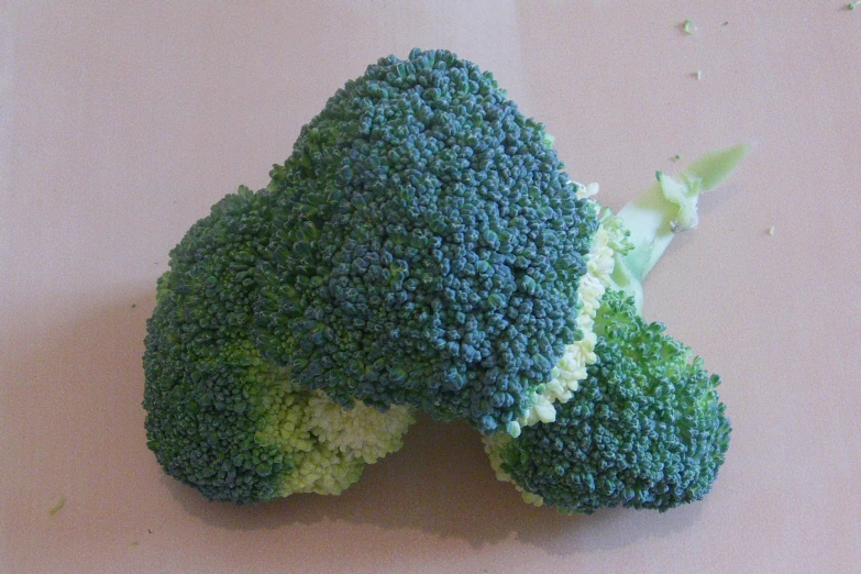 the stalk of broccoli is being cut in half