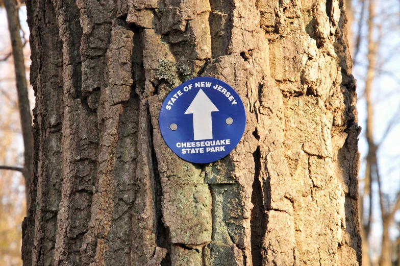 a blue sign on a tree that says, the new york central state bank