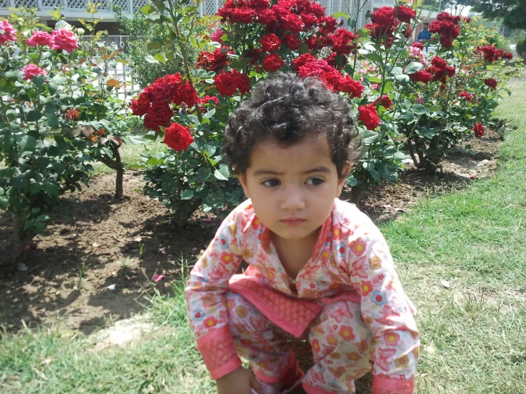 a small child sitting in the grass with flowers behind her