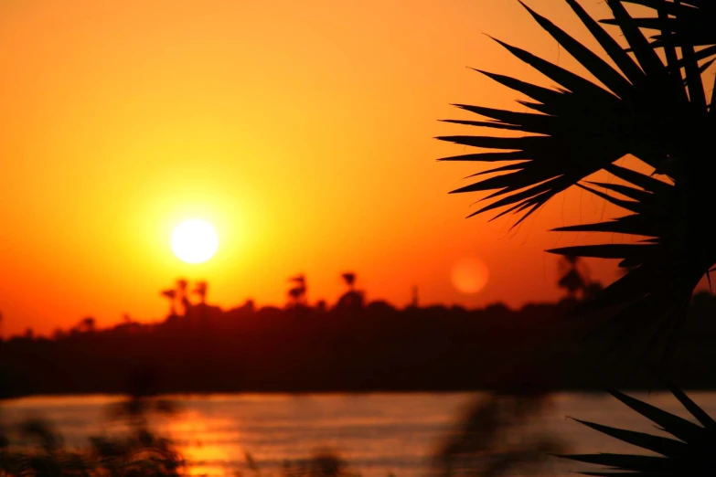 the sun is setting over the water with trees in the foreground