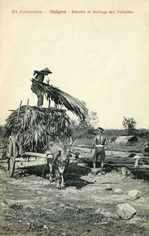 a man riding on the back of a horse drawn wagon