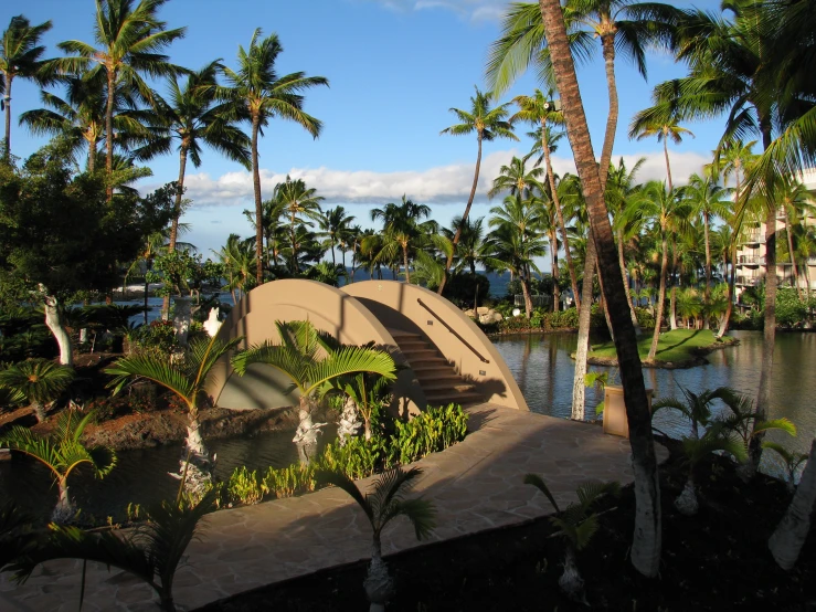 a bridge crossing over a pond lined with palm trees