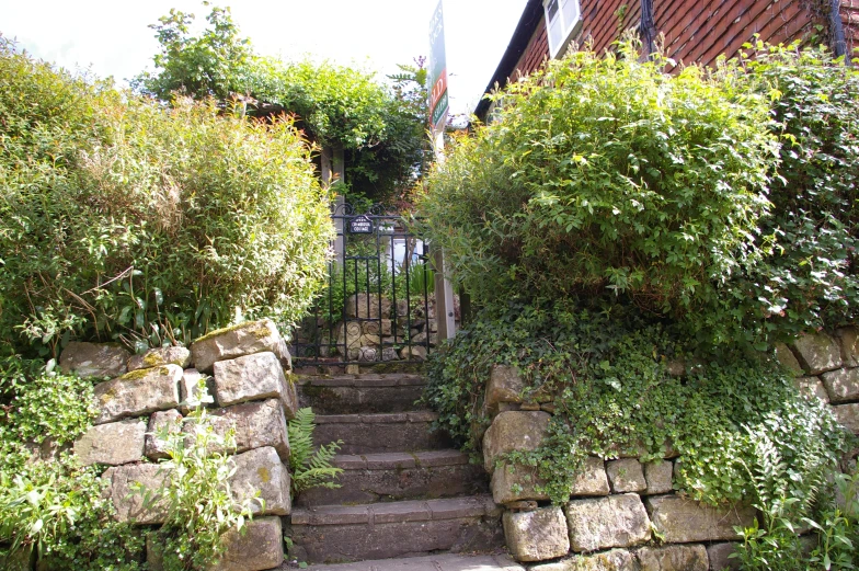 a stairway leading to an iron gate with vines on it