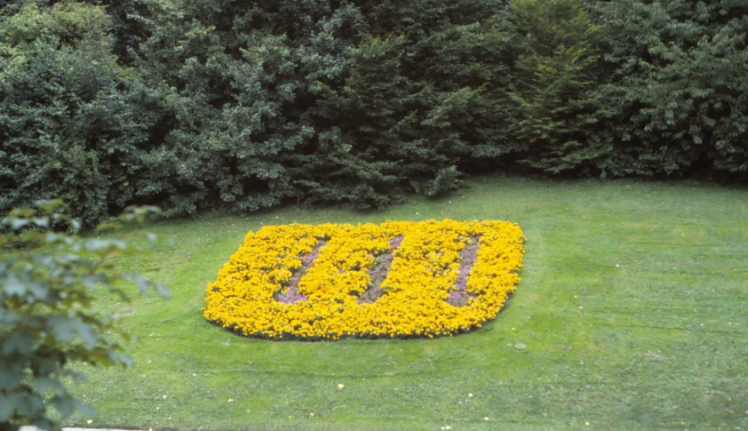 a number 10 with flowers on the grass