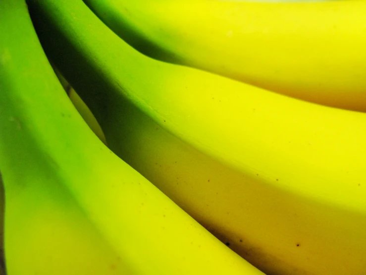 a group of yellow bananas are grouped together