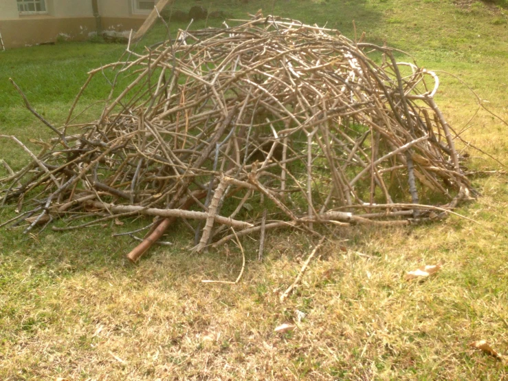 large nches piled together in a yard