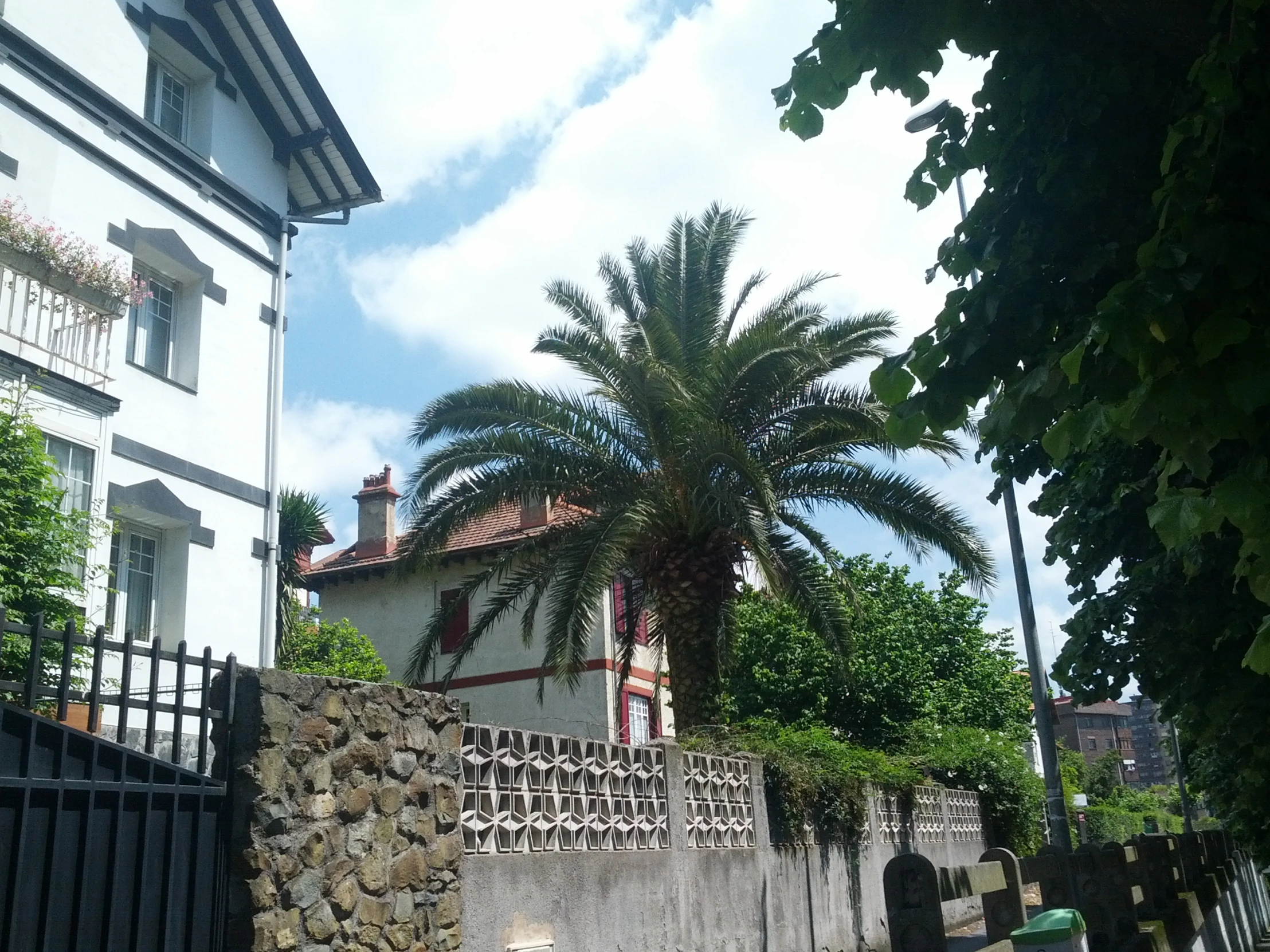 a very cute house in front of a tall tree