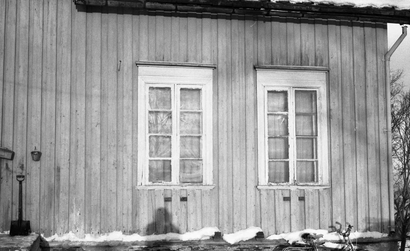 a cat stands on the side of a building