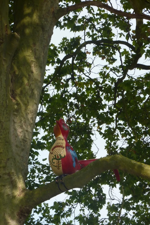 a colorful bird that is perched in a tree