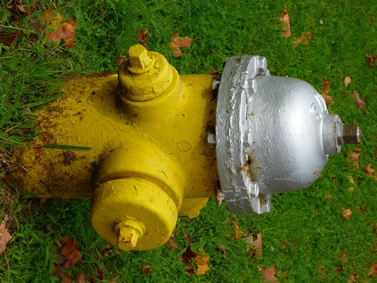 a yellow and silver fire hydrant is in the grass