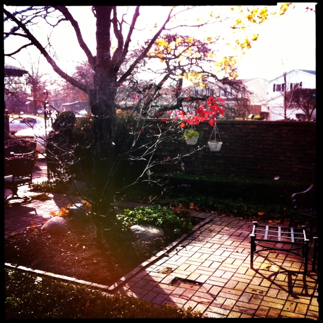 trees, chair and flowerbed in backyard next to brick walk way