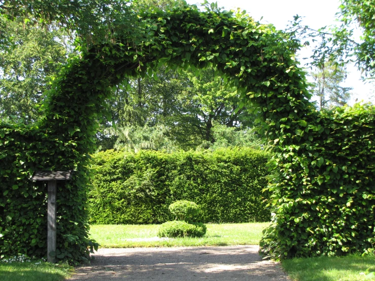 an arch in a lush green park, leading to a bench