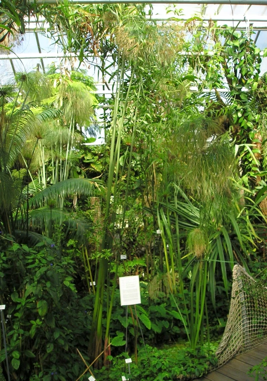 an old bench covered in lots of plants