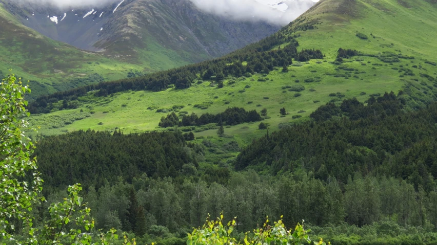 the valley and mountains are green with snow on them