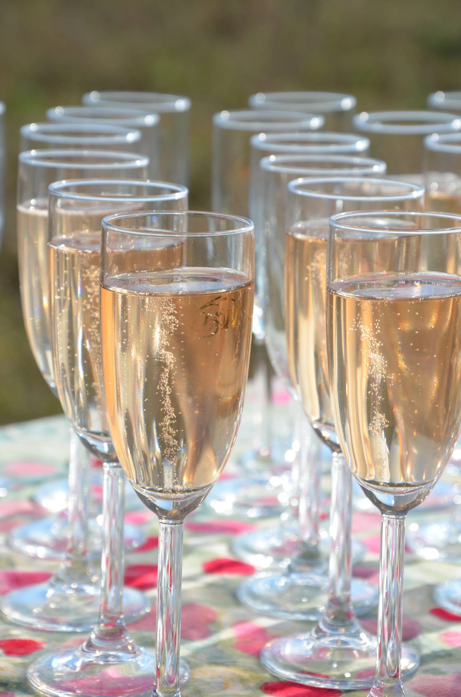 glasses full of wine are set out on the table