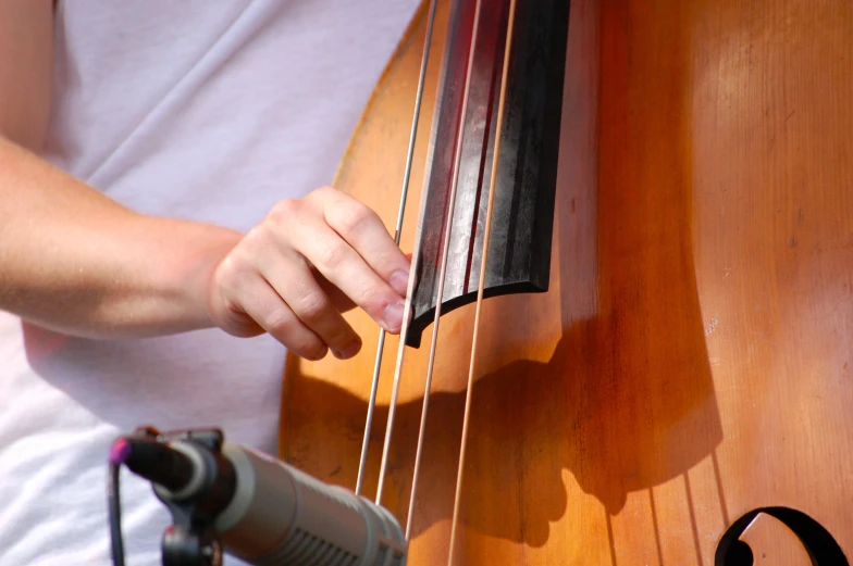 a hand holding the strings to a bass
