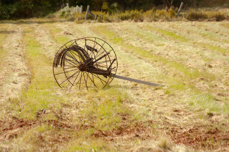 a small wheel and a sword are in the grass