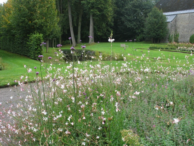 flower garden with wildflowers and other flowers