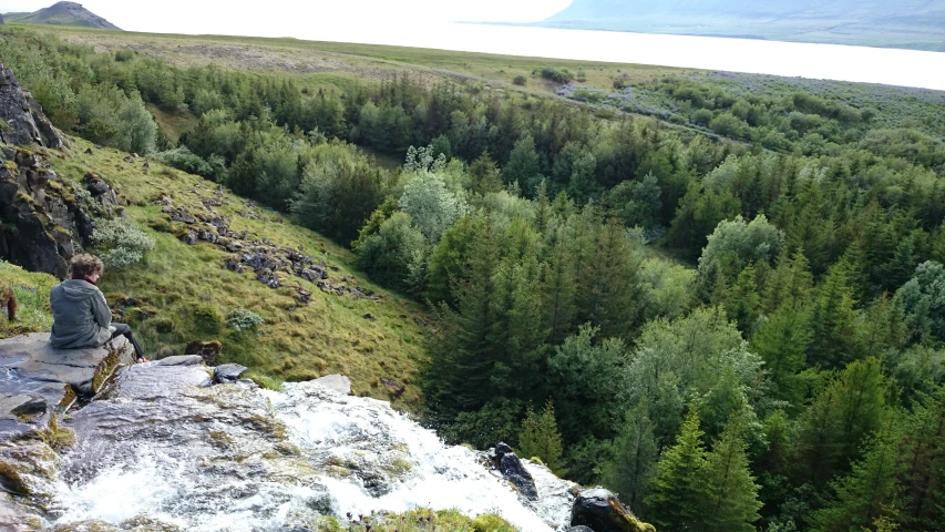 a person sitting on the edge of a cliff looking at some trees