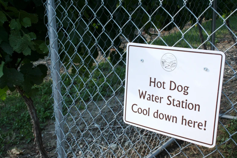 a  dog water station sign posted behind a chain link fence