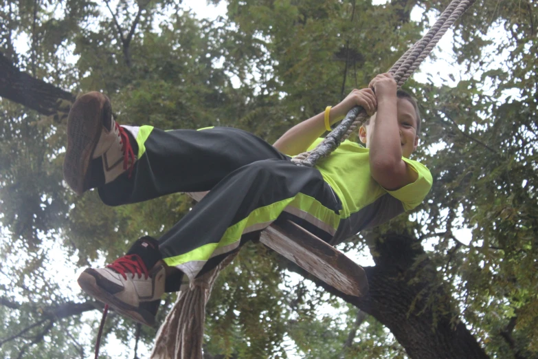 a  riding the ropes on a tree