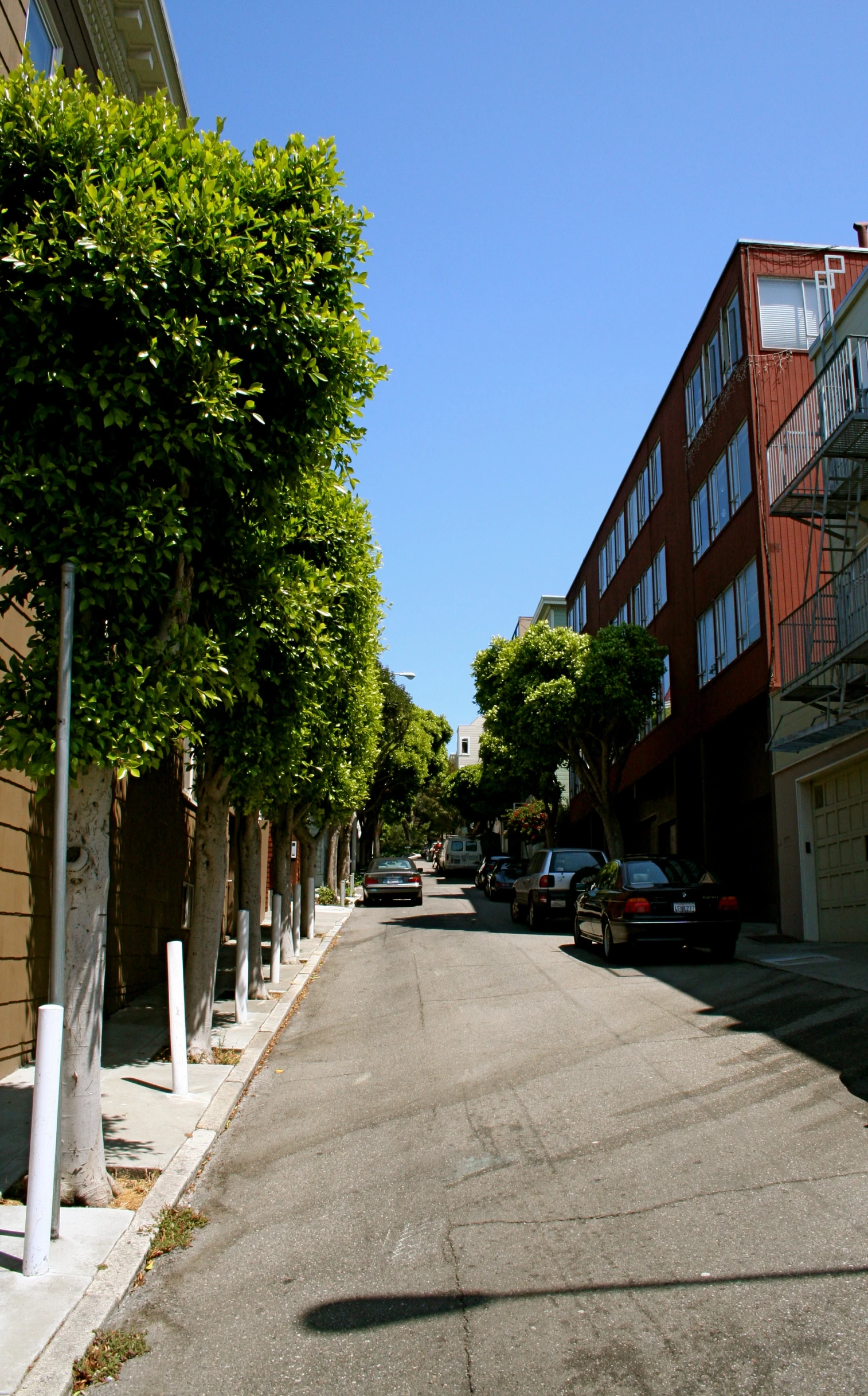 cars are parked at the curb of a residential street