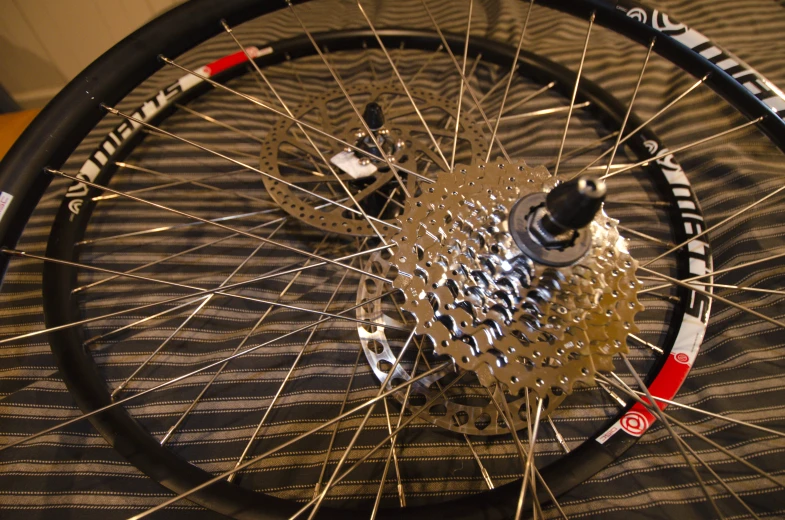 a rear wheel view on a bike tire with two spokes