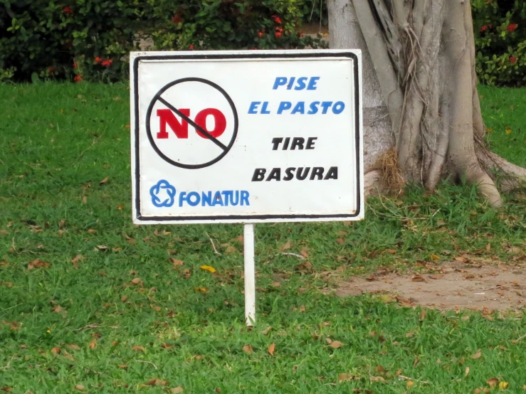 a sign in front of a tree with the words no parking below it