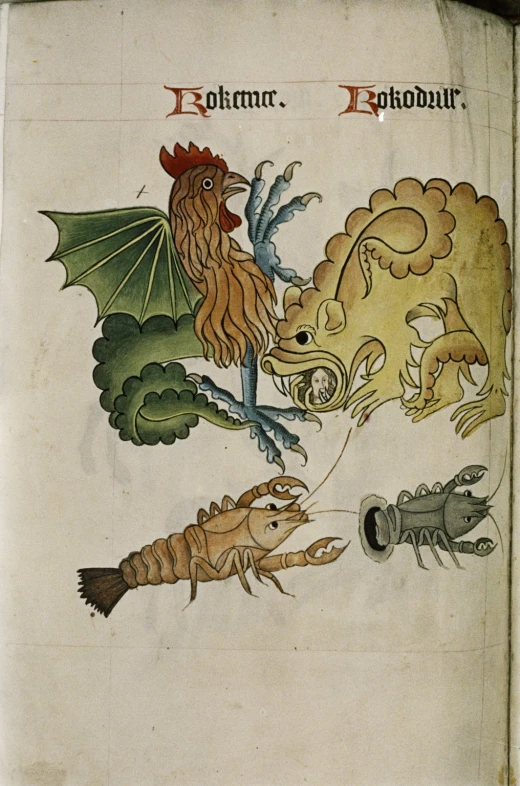 this medieval mcript shows the dragon and his dragon friend