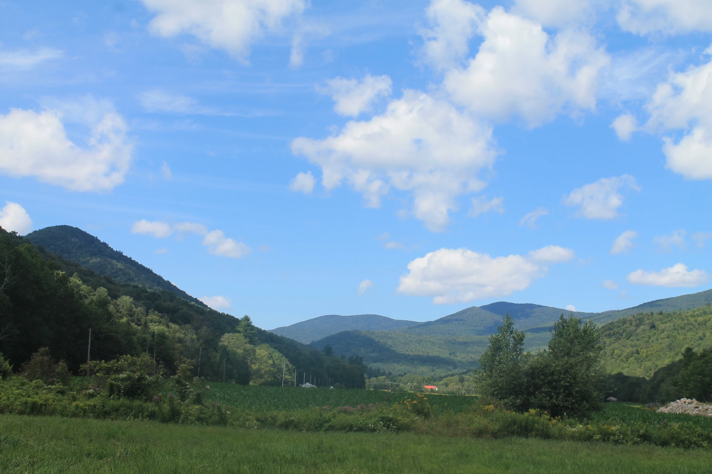 there is a mountain range and some trees