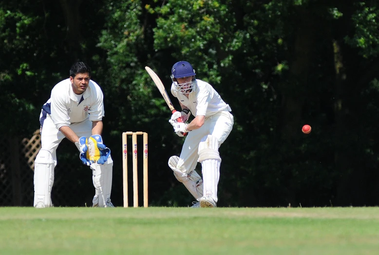 two men playing cricket on a green field