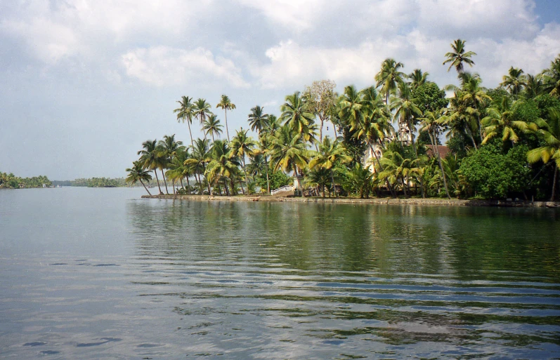 a tropical island and palm trees on an empty body of water