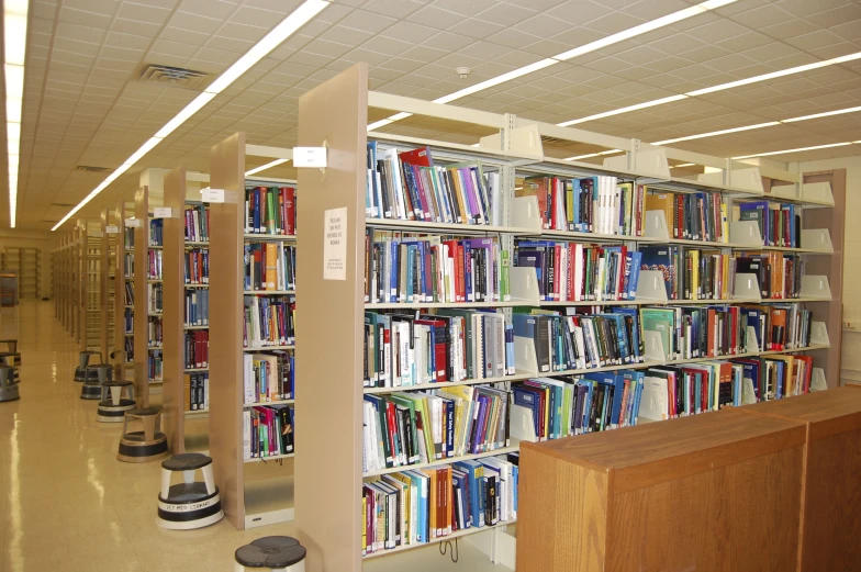 several books are lined up near each other