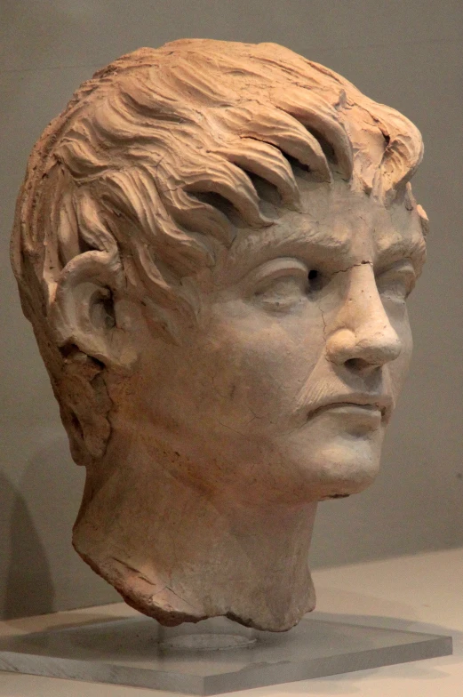 a marble bust of a man with his hair cut in half