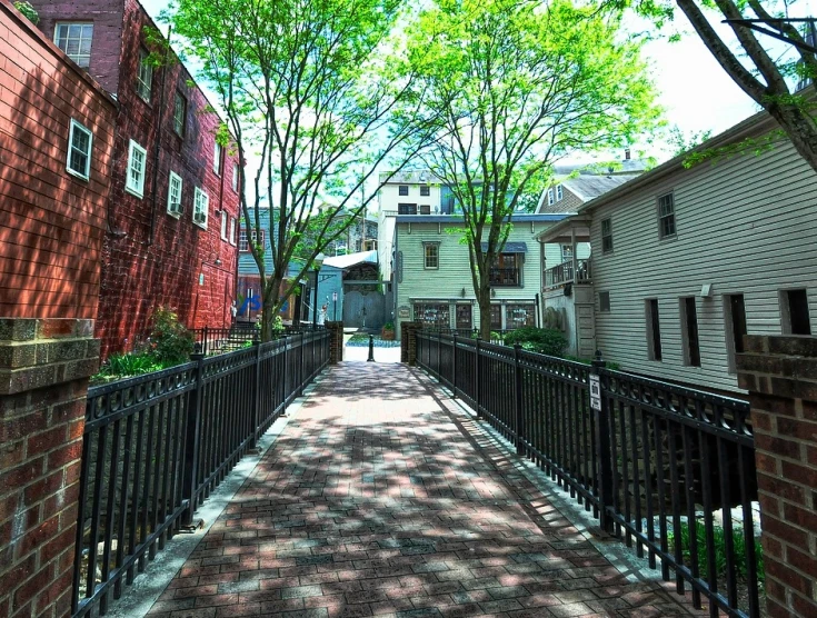 an alley with iron fence, trees, and houses in the background