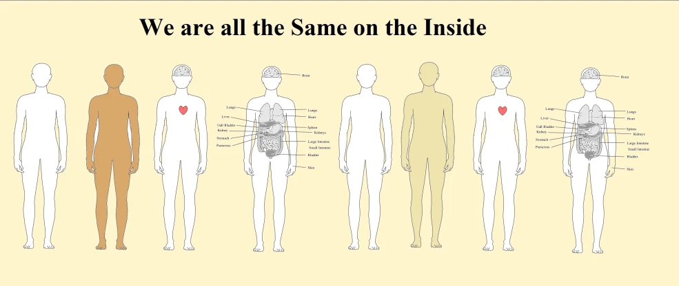 a diagram of the human body showing different zones