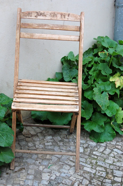 an old wooden chair next to a garden filled with plants