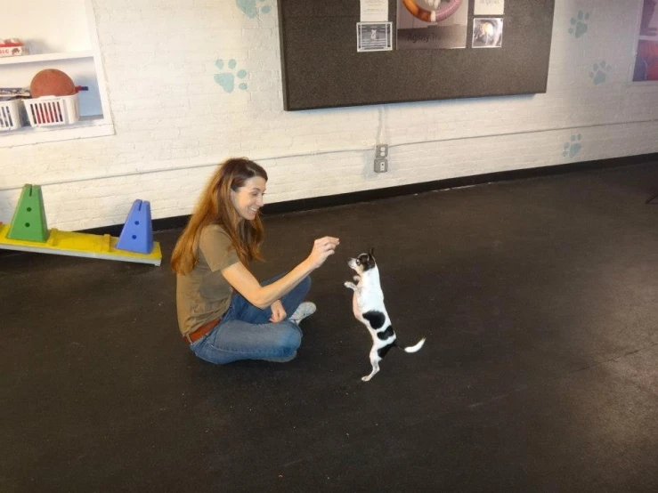 a girl plays with a dog in a room