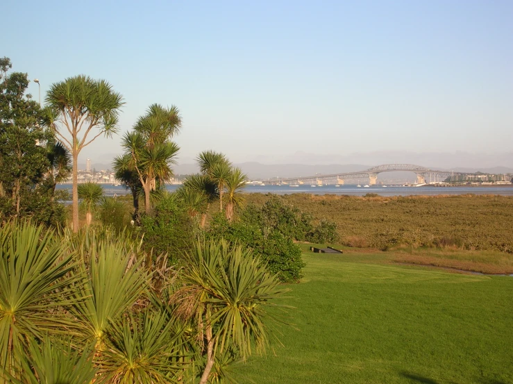 a lush green lawn with trees and blue skies in the background