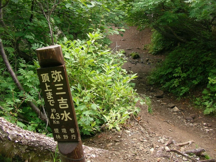 a trail in the woods with a large wooden sign