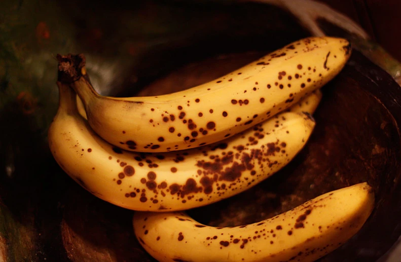 three ripe bananas covered in brown spots in a metal bowl